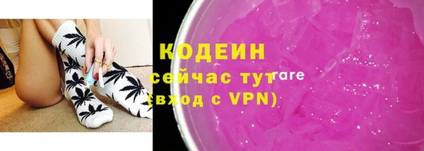 спиды Горняк