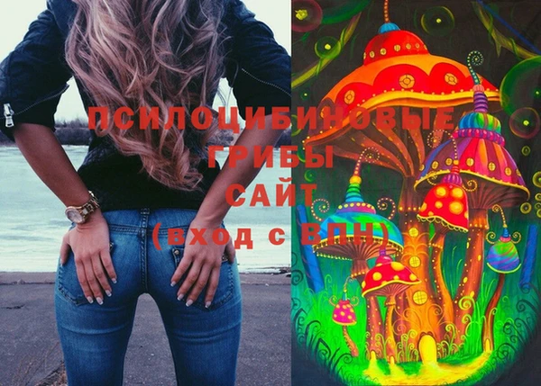 эйфоретик Вяземский