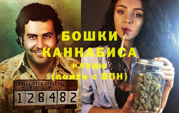 шишки Горно-Алтайск