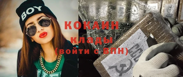 шишки Горно-Алтайск