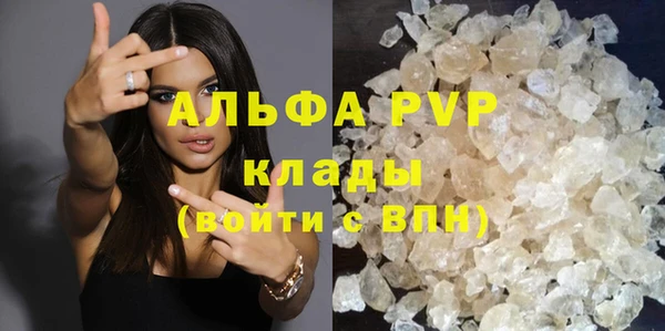эйфоретик Вяземский