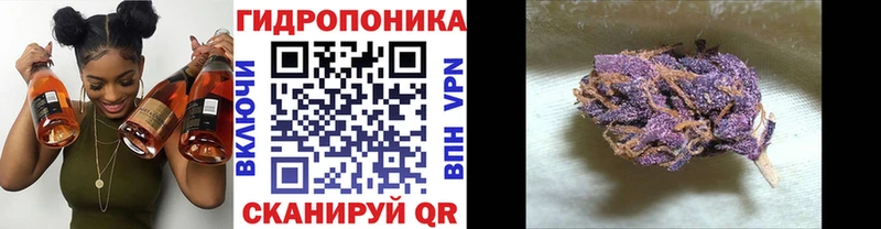 Купить где  Зубцов  Каннабис семена 